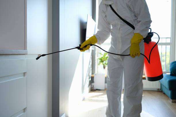 Best Mold Inspection  in English, IN