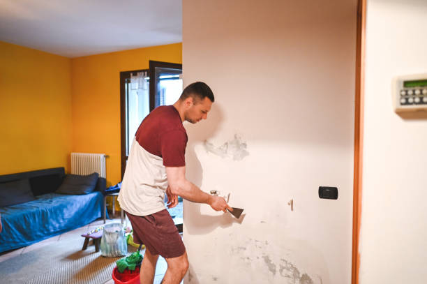 Best Mold Damage Repair  in English, IN